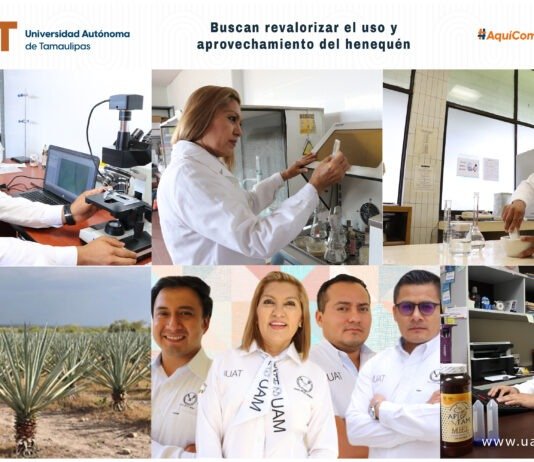 Buscan revalorizar el uso y aprovechamiento integral del henequén