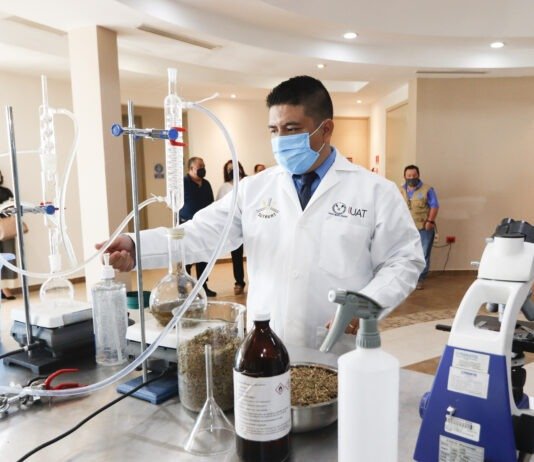 Destaca la UAT incremento de docentes en el Sistema Nacional de Investigadores