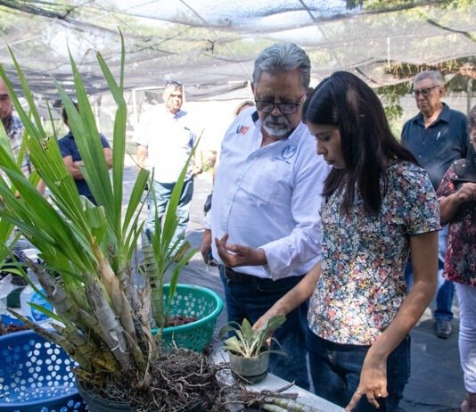 Promueve UAT el cultivo y conservación de orquídeas