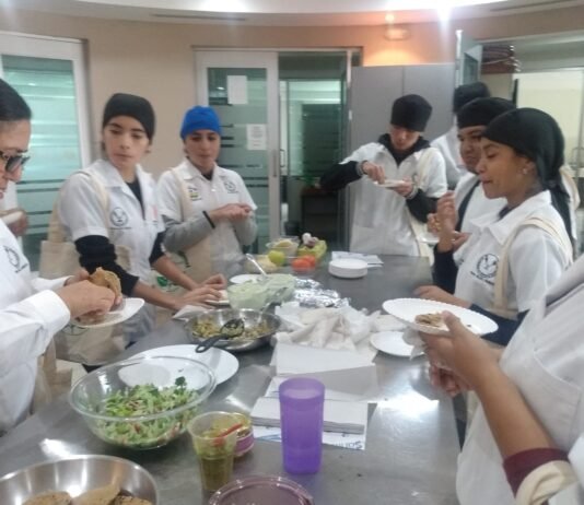 Estudia la UAT el aprovechamiento integral de la moringa