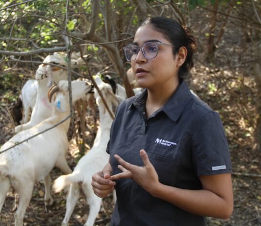 Analiza UAT innovaciones de mejoramiento para la producción caprina