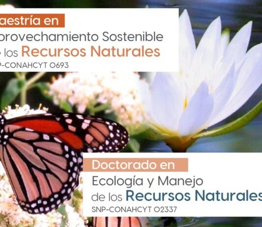 Convoca la UAT a cursar posgrados en áreas de ecología y recursos naturales