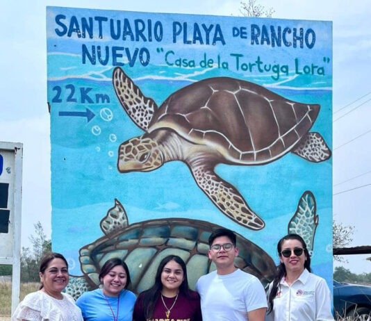Colabora la UAT en el proyecto de conservación de la tortuga lora