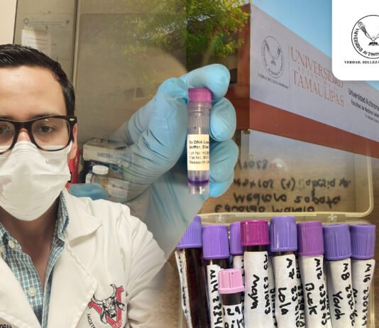 Estudia la UAT al parásito que causa babesiosis en perros y su posible contagio a humanos