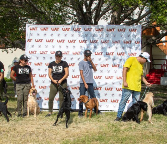 Pondrá la UAT en adopción héroes caninos
