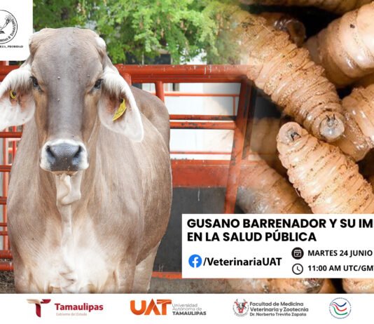 Dará la UAT conferencias sobre gusano barrenador y su impacto en la salud pública