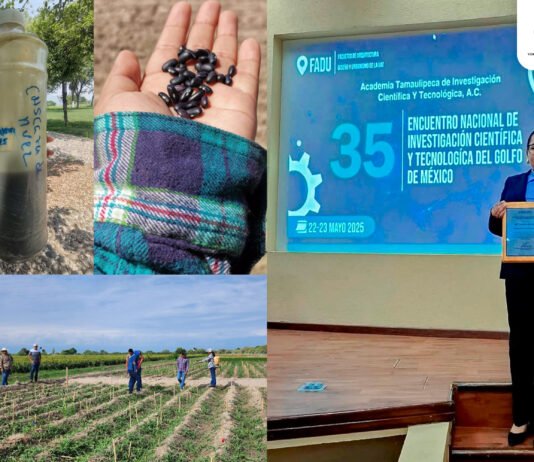 Elabora estudiante de la UAT bioherbicida para cultivos de frijol