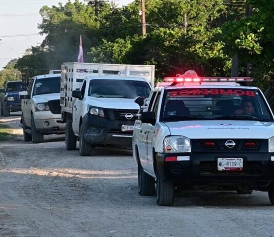Cumple Patty Chío a ejidos con plan municipal de fumigación