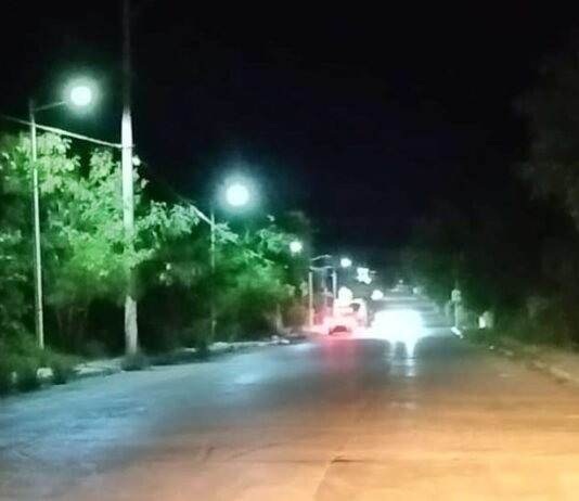 Ilumina Patty Chío acceso a la Arbustos y Fovissste 1 y 2