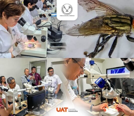 Colabora la UAT en medidas preventivas contra el gusano barrenador