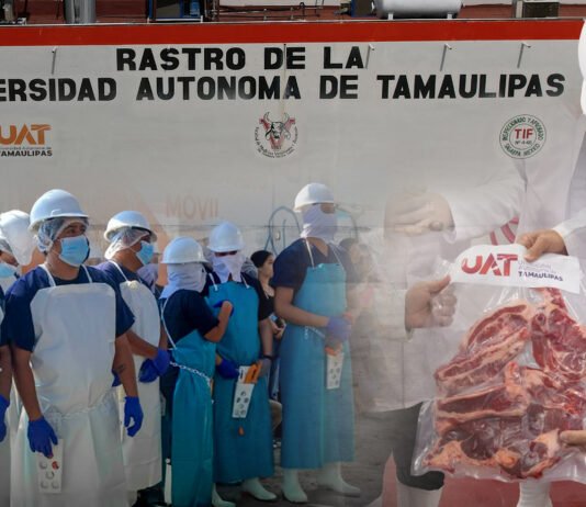 Rastro TIF de la UAT producirá carne para el mercado internacional