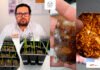 Patenta la UAT bioplásticos que recuperan suelos erosionados
