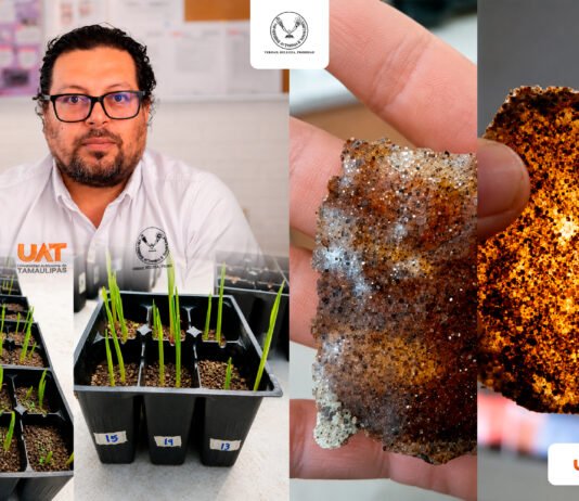 Patenta la UAT bioplásticos que recuperan suelos erosionados