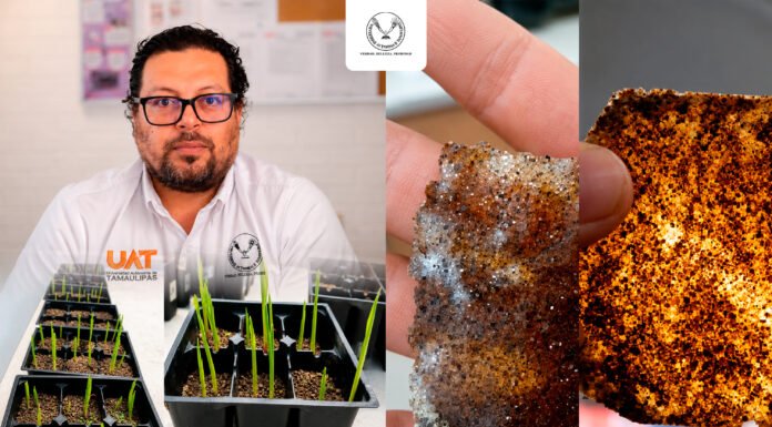 Patenta la UAT bioplásticos que recuperan suelos erosionados