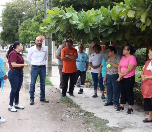 Supervisa Patty Chío revestimiento en calle Pino Suárez