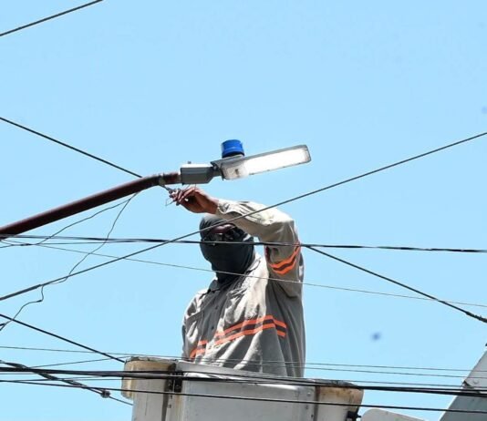 Llleva Patty Chío alumbrado a la Revolución Verde