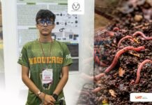 Estudiante de la UAT desarrolla prototipo con IA para optimizar la lombricultura a bajo costo