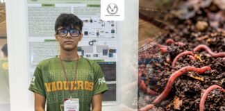 Estudiante de la UAT desarrolla prototipo con IA para optimizar la lombricultura a bajo costo