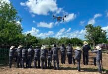Refuerza la UAT brigadas de contención frente al gusano barrenador en Tamaulipas