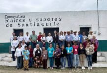 La UAT consolida proyecto de aprovechamiento del laurel para el emprendimiento rural