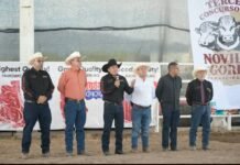 Con tradición y convivencia, celebran el Concurso del Novillo Gordo