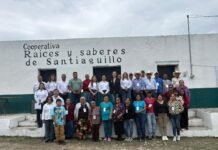 Impulsan Secretaría de Economía y UAT el aprovechamiento del laurel para fortalecer emprendimientos en Jaumave